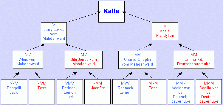 Stammbaum