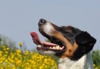gr&ouml;&szlig;er mit klick